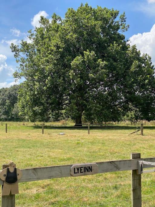 Lyeinn - Newstead Country Retreat מראה חיצוני תמונה